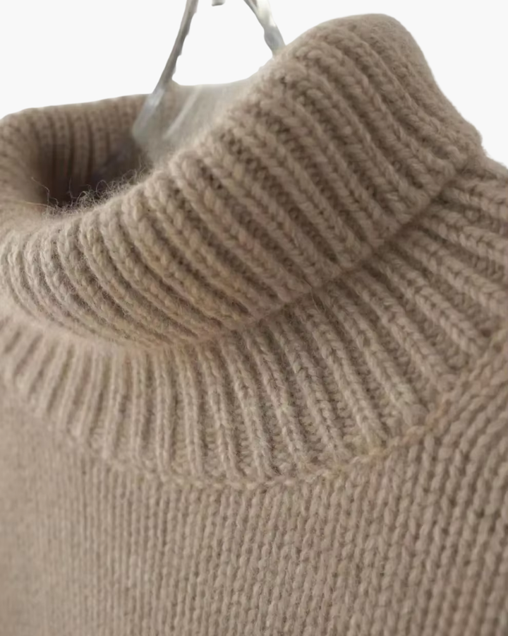 Dylana | Soft Turtle Neck Sweater