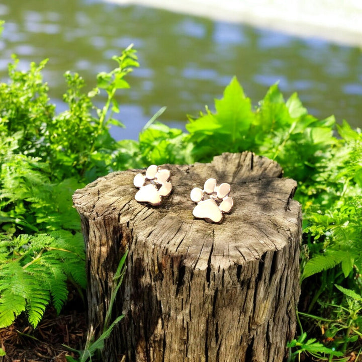 Hypoallergenic paw earrings 🐾