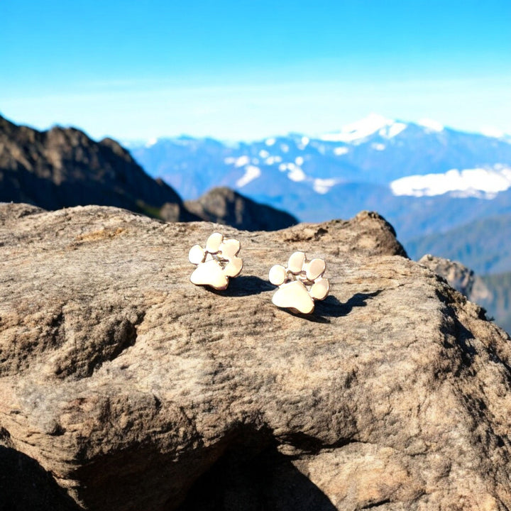 Hypoallergenic paw earrings 🐾